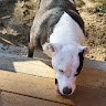 ricky-50159794
